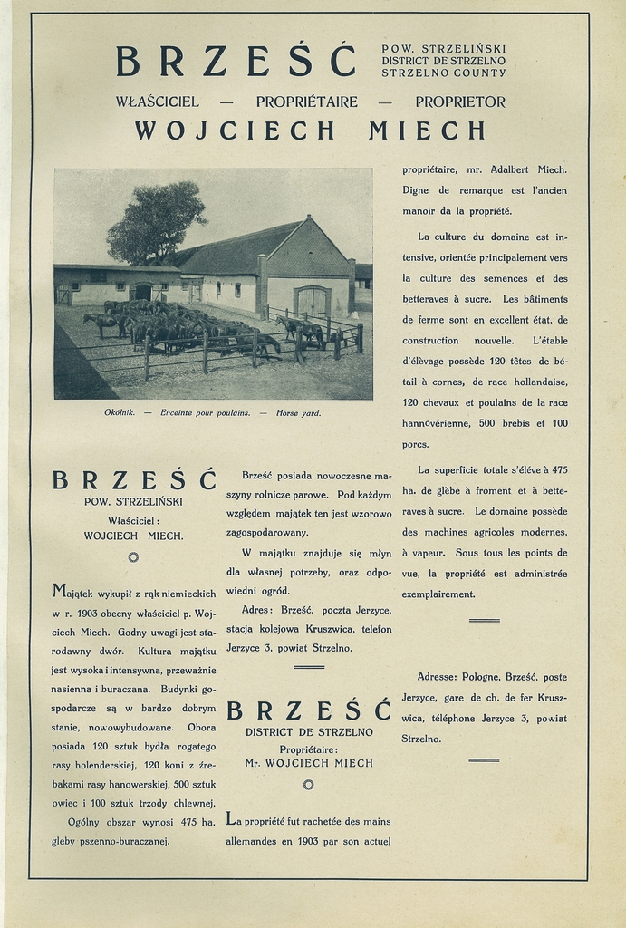 015 brzesc.jpg